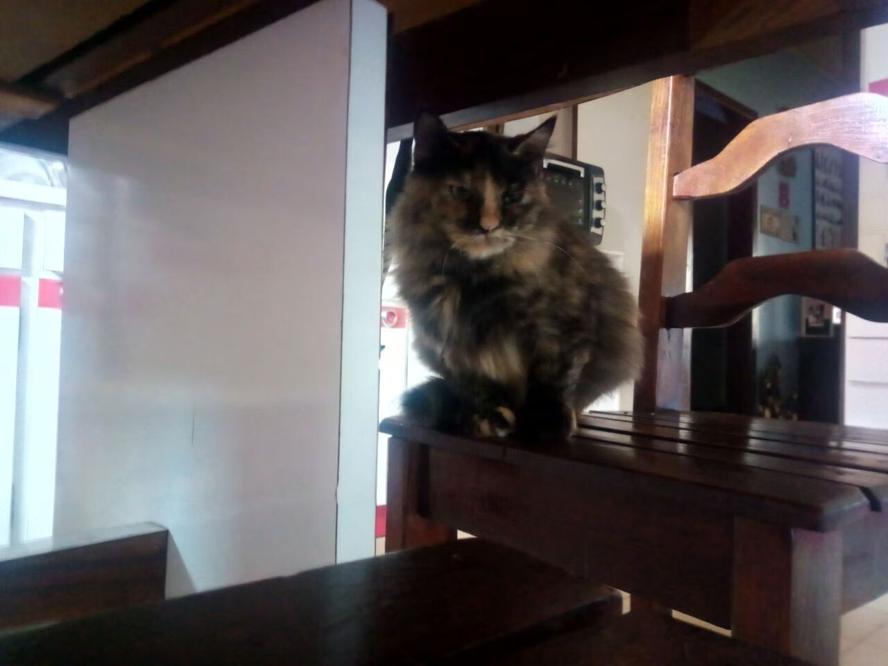 绝杀时刻,杰伦格林致命三分与雄鹿险胜76人的制胜之道