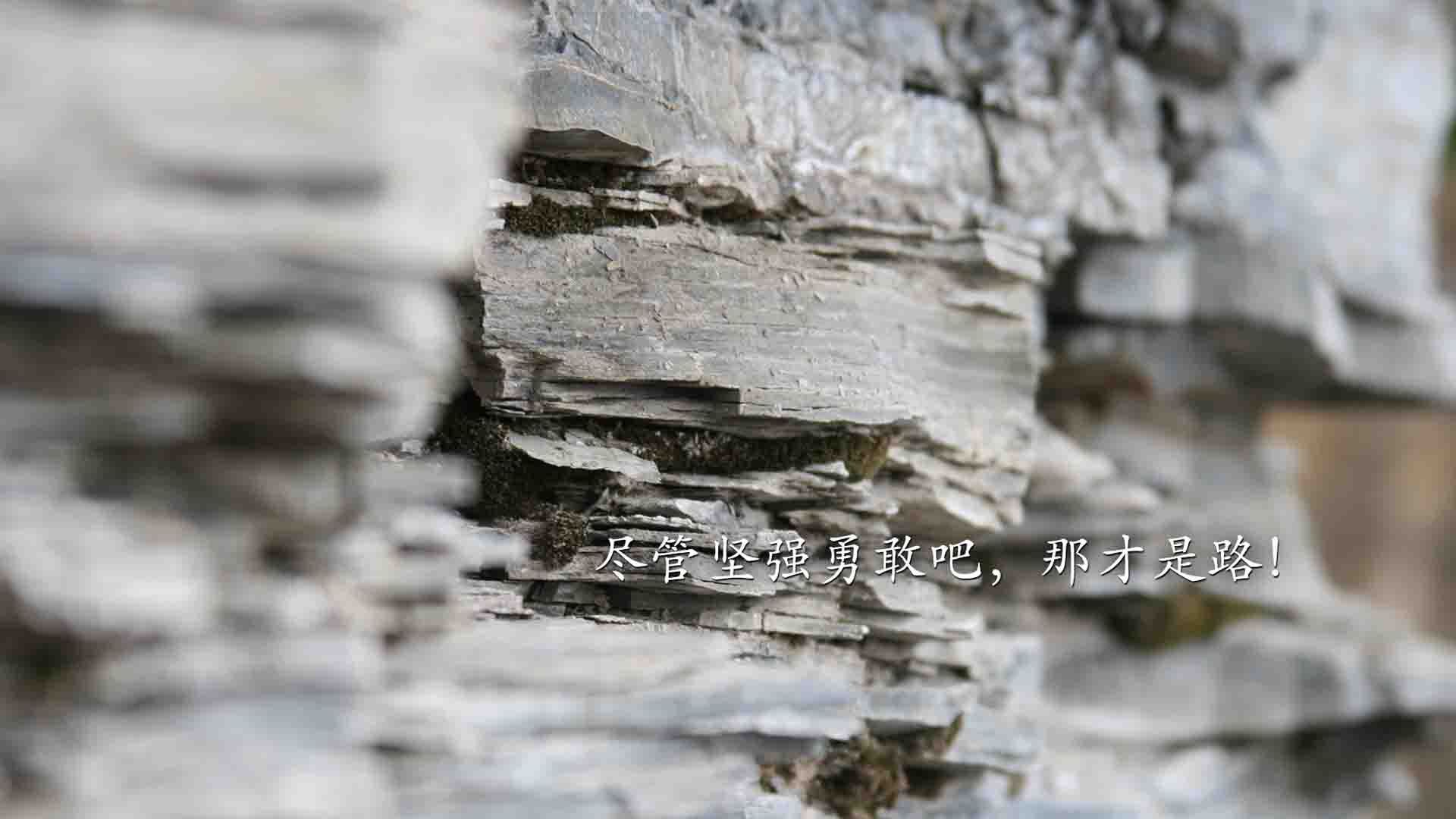 王冠上的宝石,德阿隆·福克斯的终场绝杀,国王险胜马刺