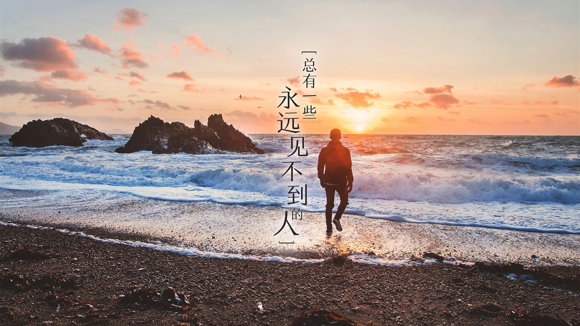 绝境之王,莫兰特与猛龙窒息防守提前终结悬念,森林狼的未来在今晚如此遥远