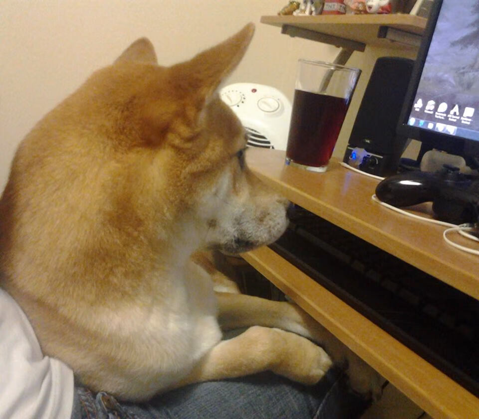 足球战争经济学,伊拉克如何冲垮曼联,而劳塔罗为何成为硬通货