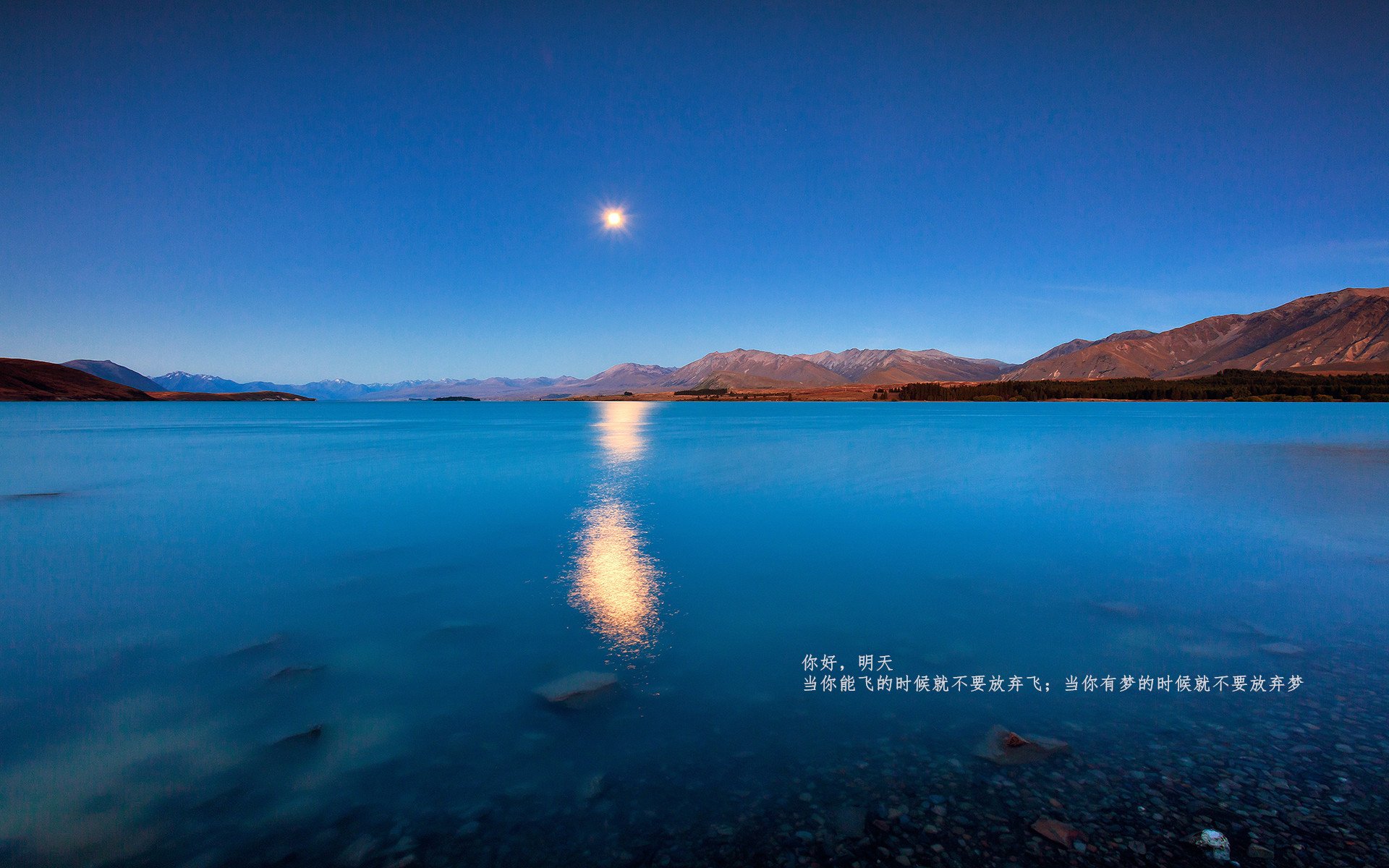 红与火的赛道,当毕尔巴鄂竞技掀翻安菲尔德,卢卡库在街道飞驰中加冕