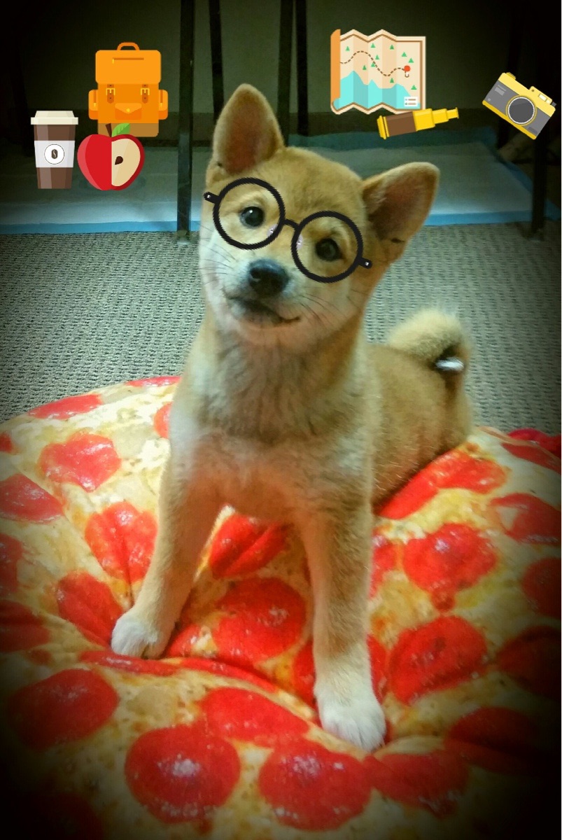 跨界巅峰战，公牛vs广东，杜兰特稳定输出不掉线主宰梦幻之夜