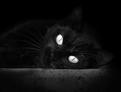 足球战争与平行宇宙，当巴黎横扫伊拉克，苏亚雷斯在德甲接管争冠战