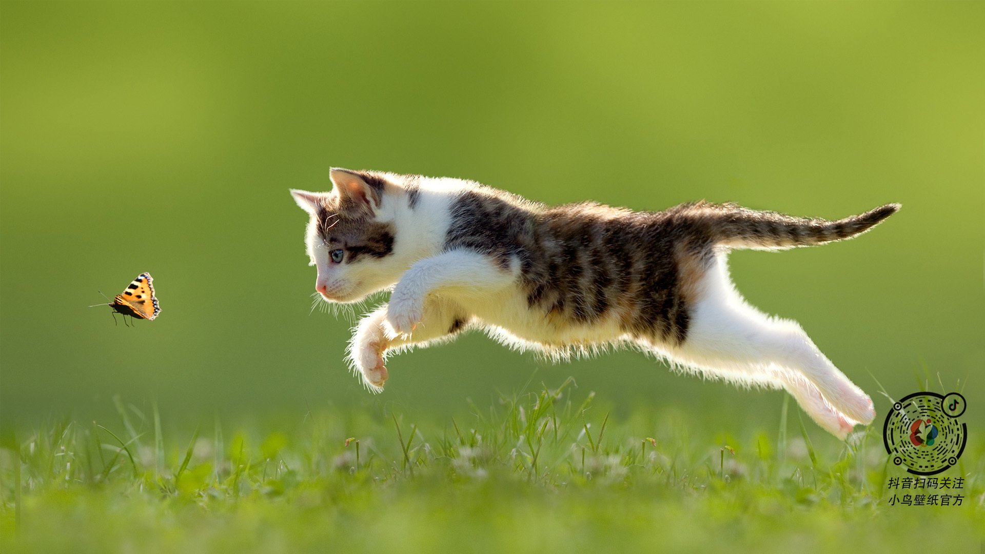 绿茵上的节奏大师，伊萨克用实力与智慧书写非典型胜利