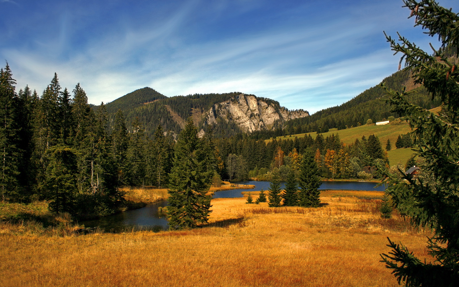 纽约至深圳，一记跨越八千英里的绝杀