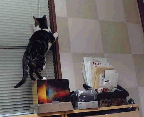 大师终章，莫德里奇一记冷箭刺破佛罗伦萨，德国战车单节定乾坤