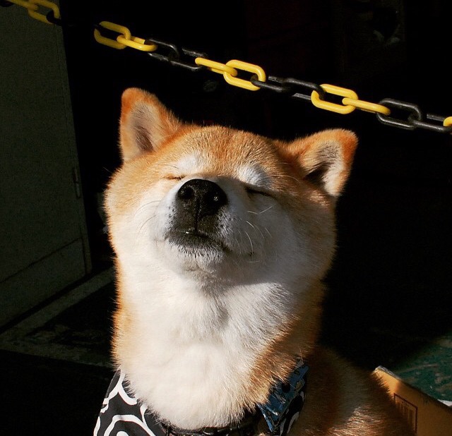 2026世界杯H组暗流涌动，日本技术流压制墨西哥，佩德里独舞成破局关键